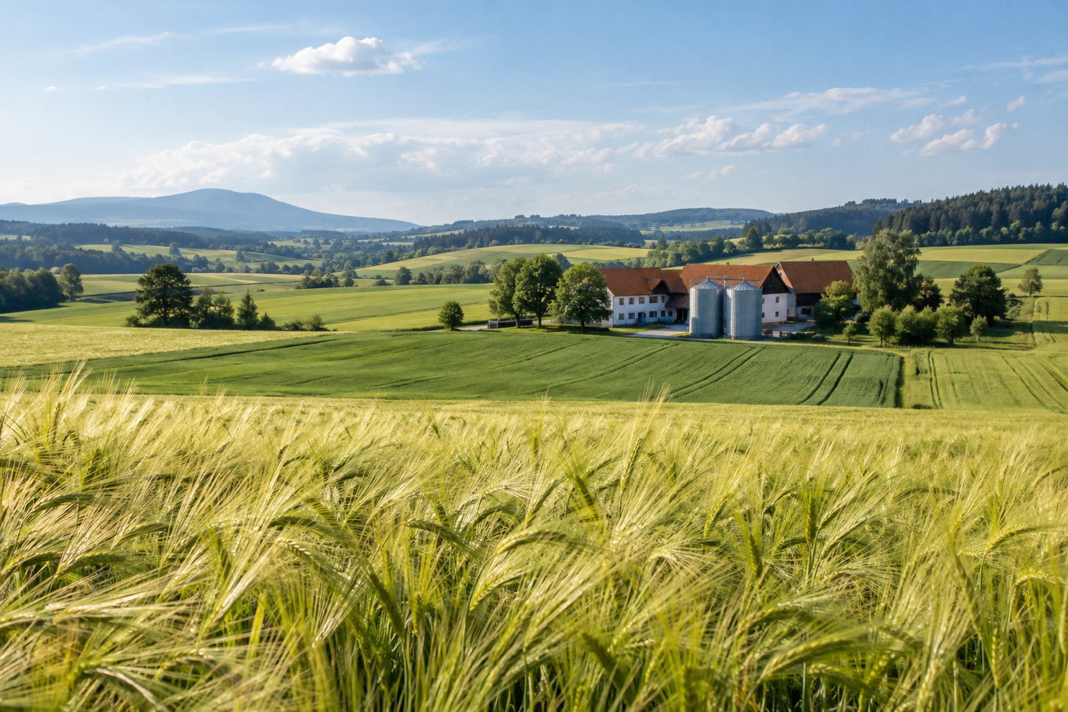 Gerstenfeld in Österreich